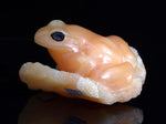 Soapstone and Geode Frog